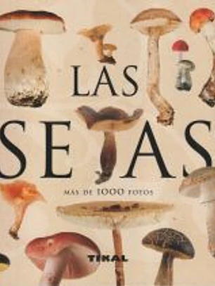 Enciclopedia Universal. Las setas