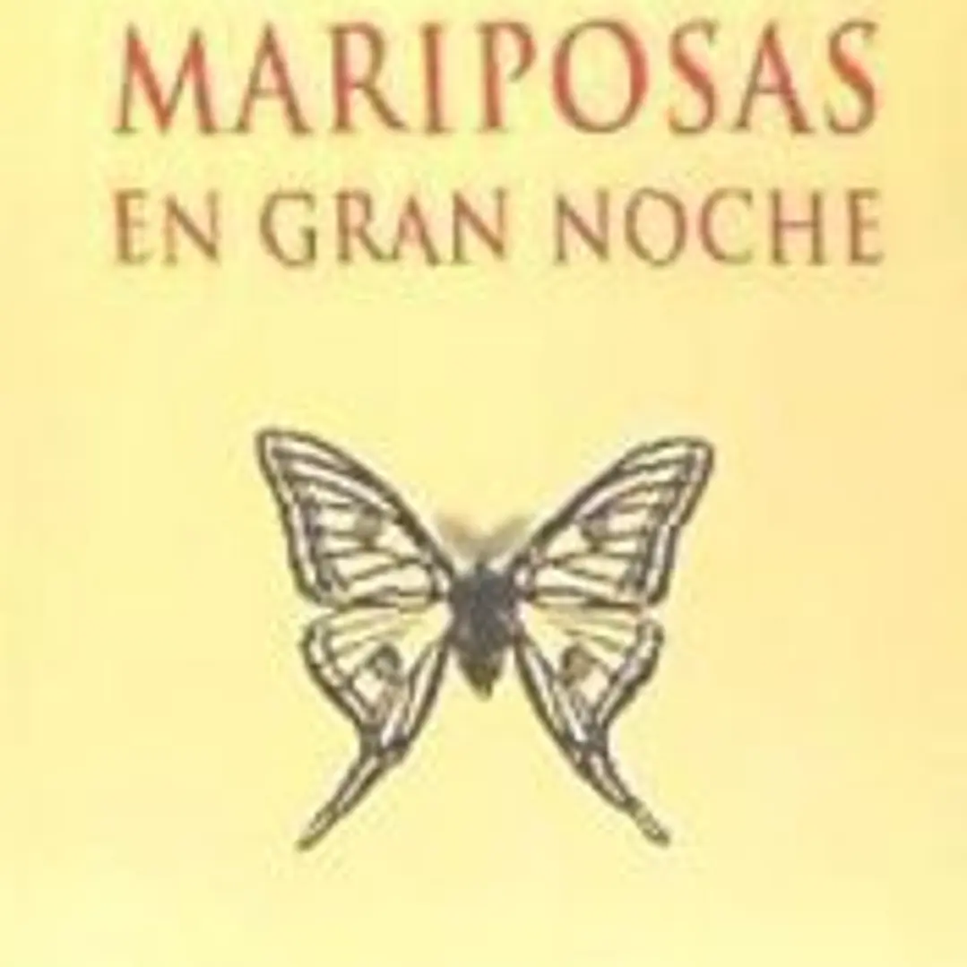 MARIPOSAS EN GRAN NOCHE 1