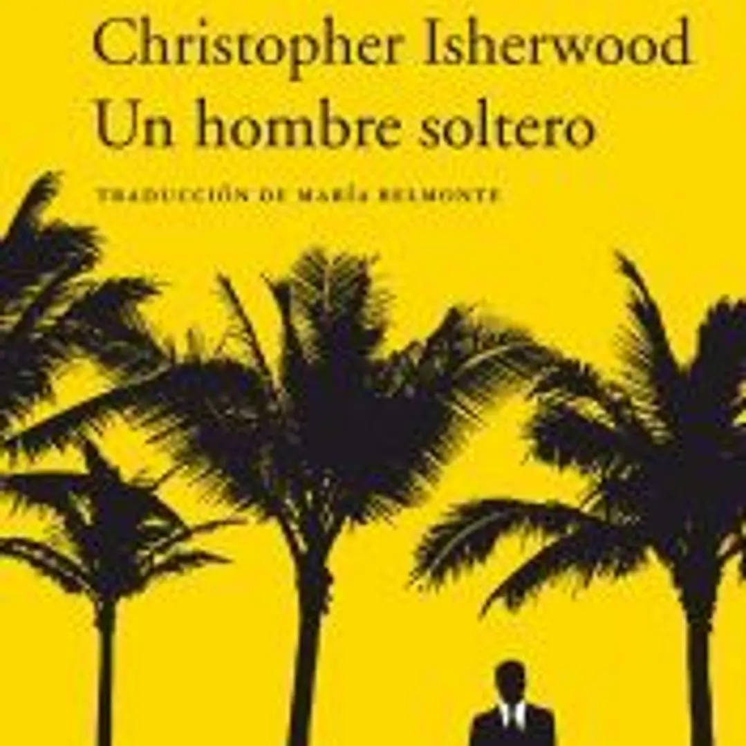 Un hombre soltero 1