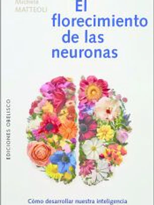 El florecimiento de las neuronas
