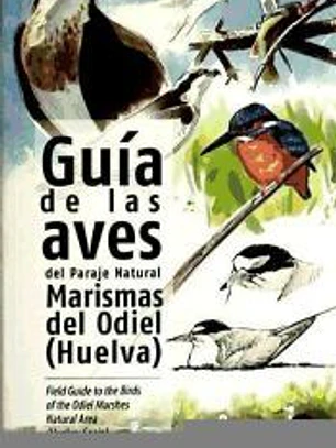 Guía de las aves del paraje natural Marismas del Odiel (Huelva)