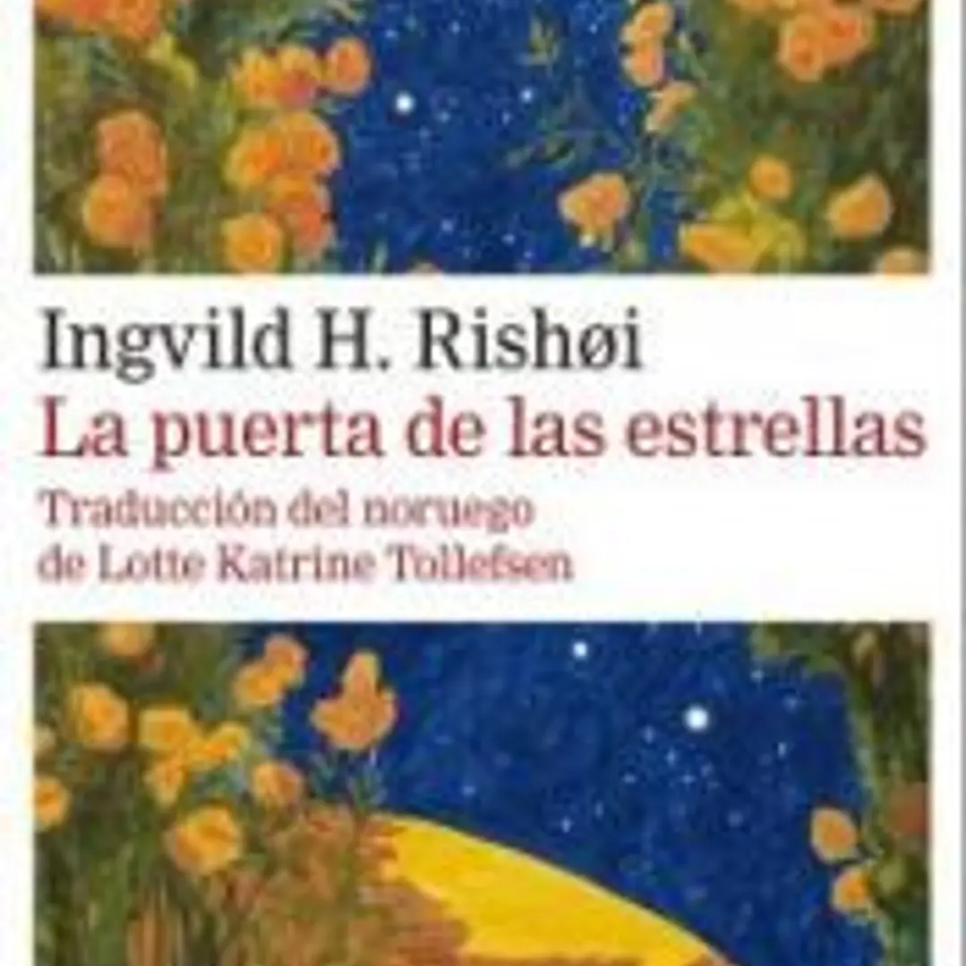 La puerta de las estrellas 1
