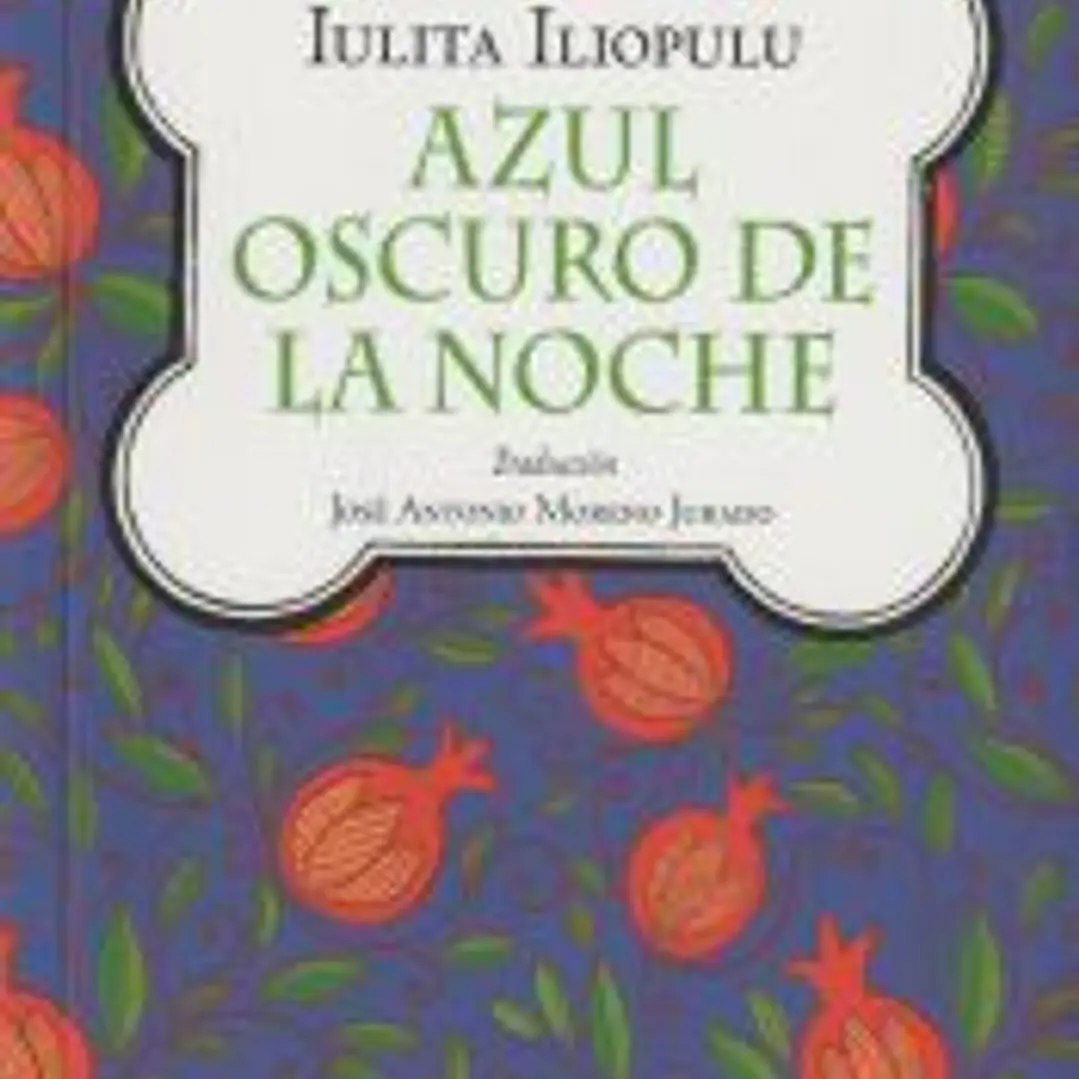 Azul oscuro de la noche 1