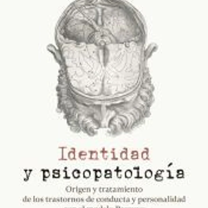 Identidad y psicopatología. Origen y tratamiento de los trastornos de conducta y personalidad con el modelo Parcuve 1