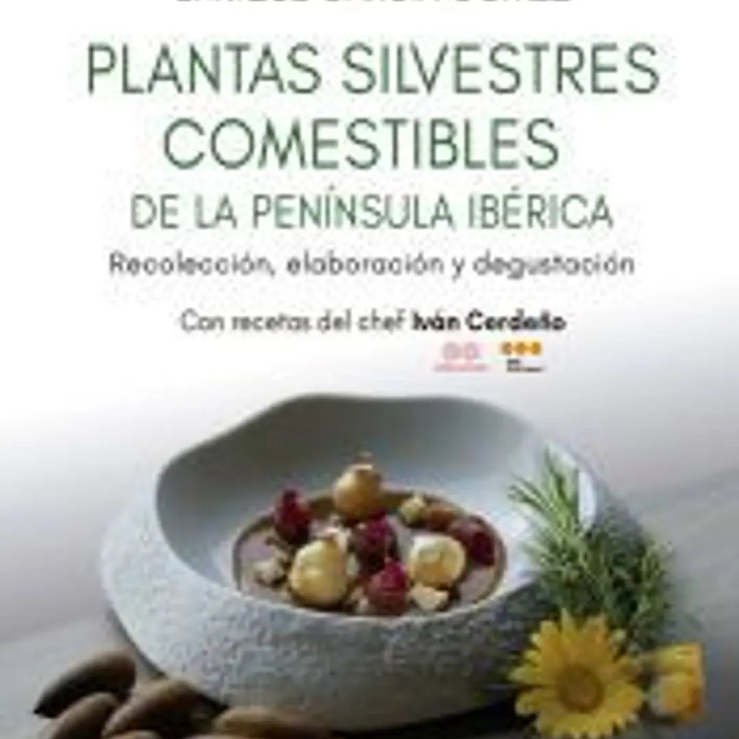 Plantas silvestres comestibles de la península ibérica 1