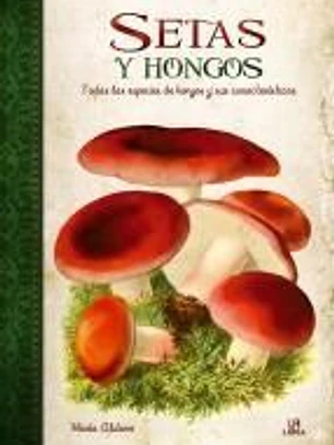 Setas y Hongos: Todas las Especies de Hongos y sus Características
