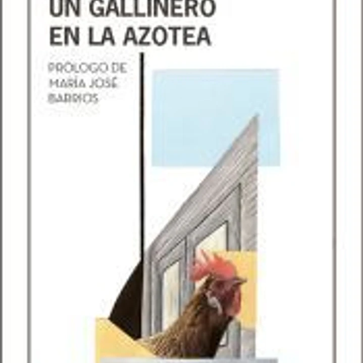 Un gallinero en la azotea 1