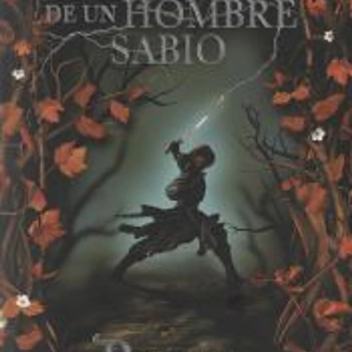 El temor de un hombre sabio 1