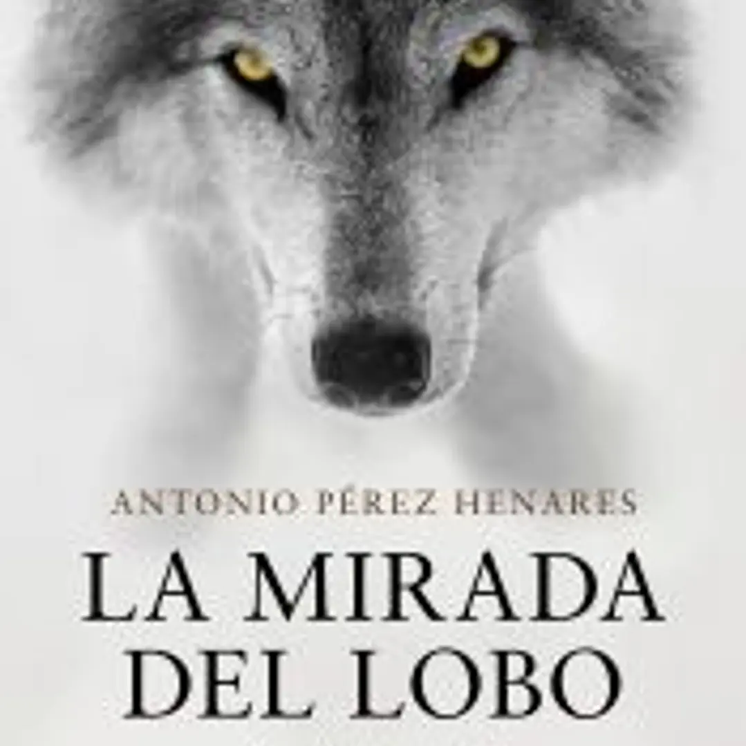 La mirada del lobo (Saga Prehistórica 4) 1