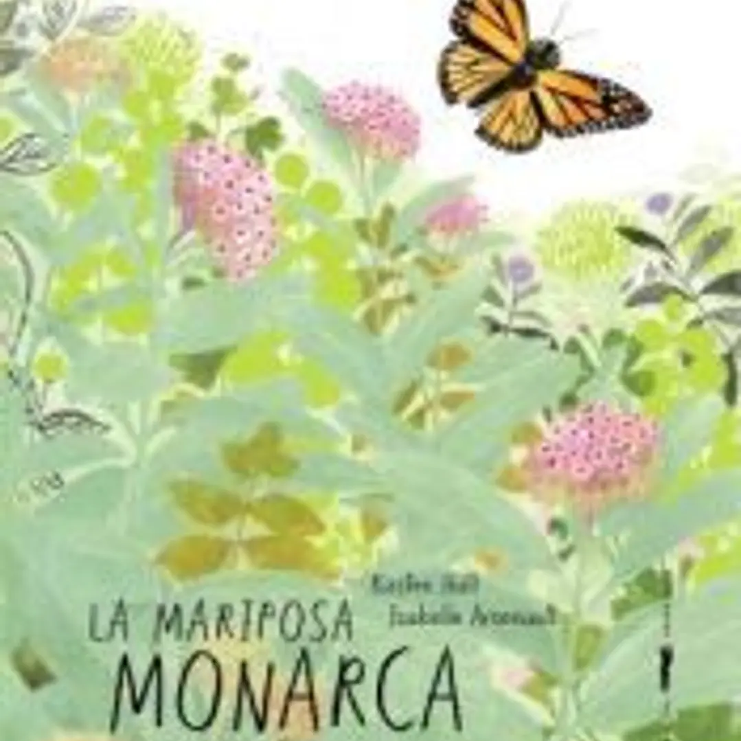 La mariposa monarca 1