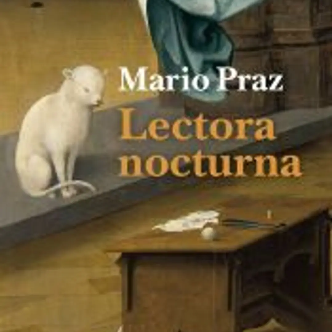 Lectora nocturna 1