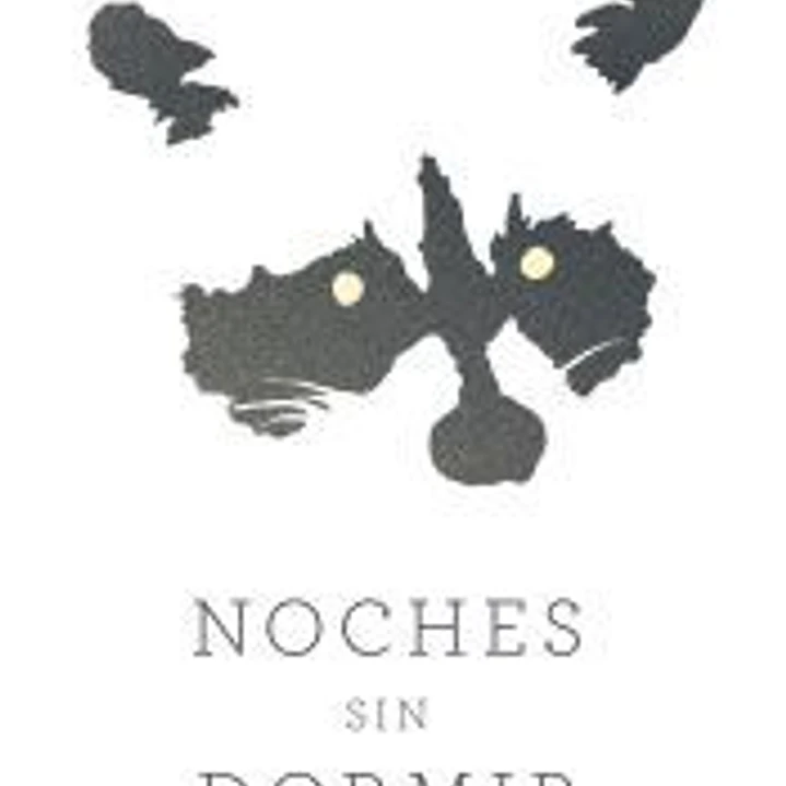 Noches sin dormir: útimo invierno en Nueva York 1