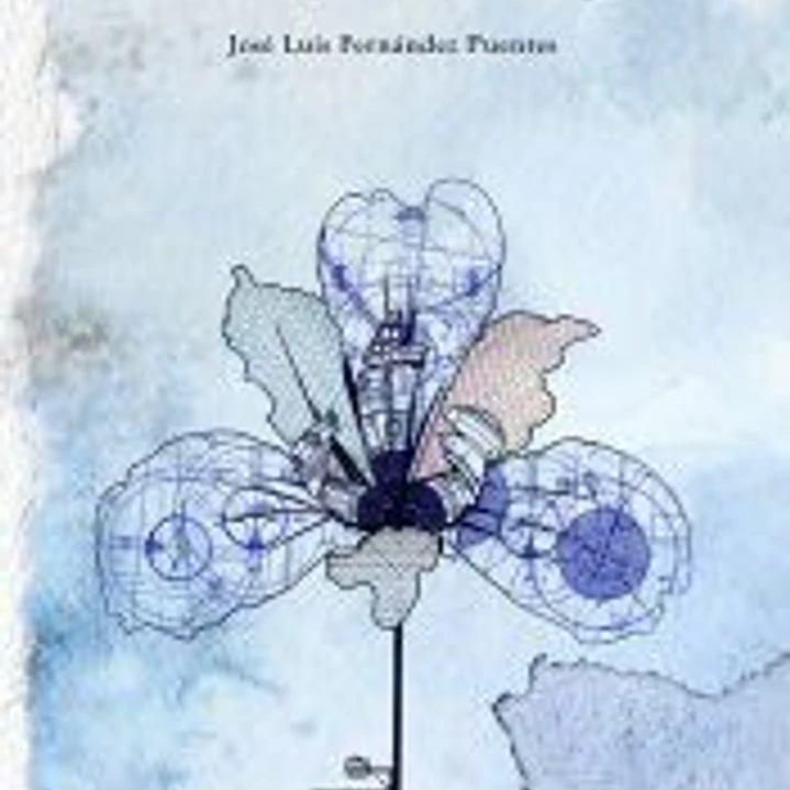 Palabras para la Máquina 1
