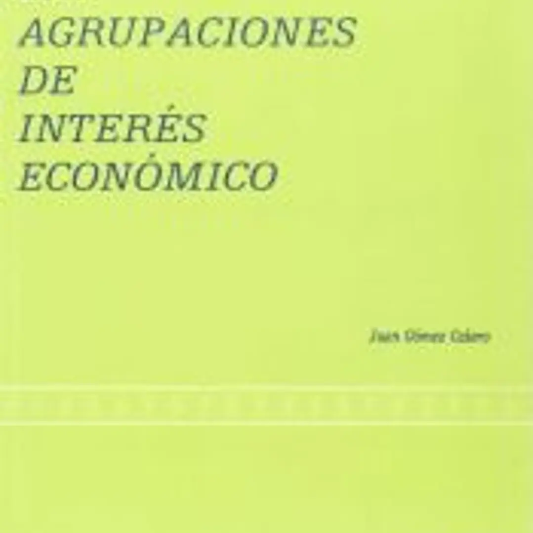 Las agrupaciones de interés económico 1