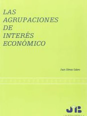 Las agrupaciones de interés económico