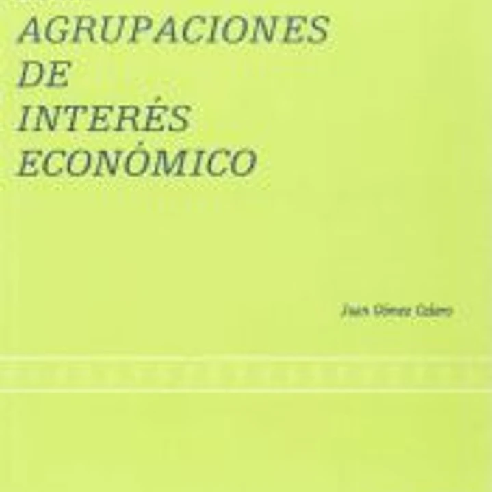 Las agrupaciones de interés económico 1