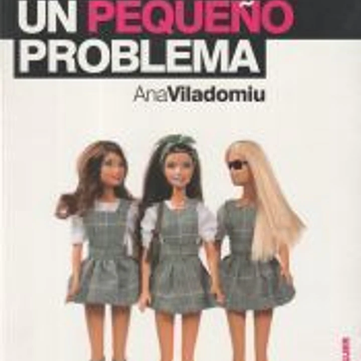 UN PEQUEÑO PROBLEMA 1