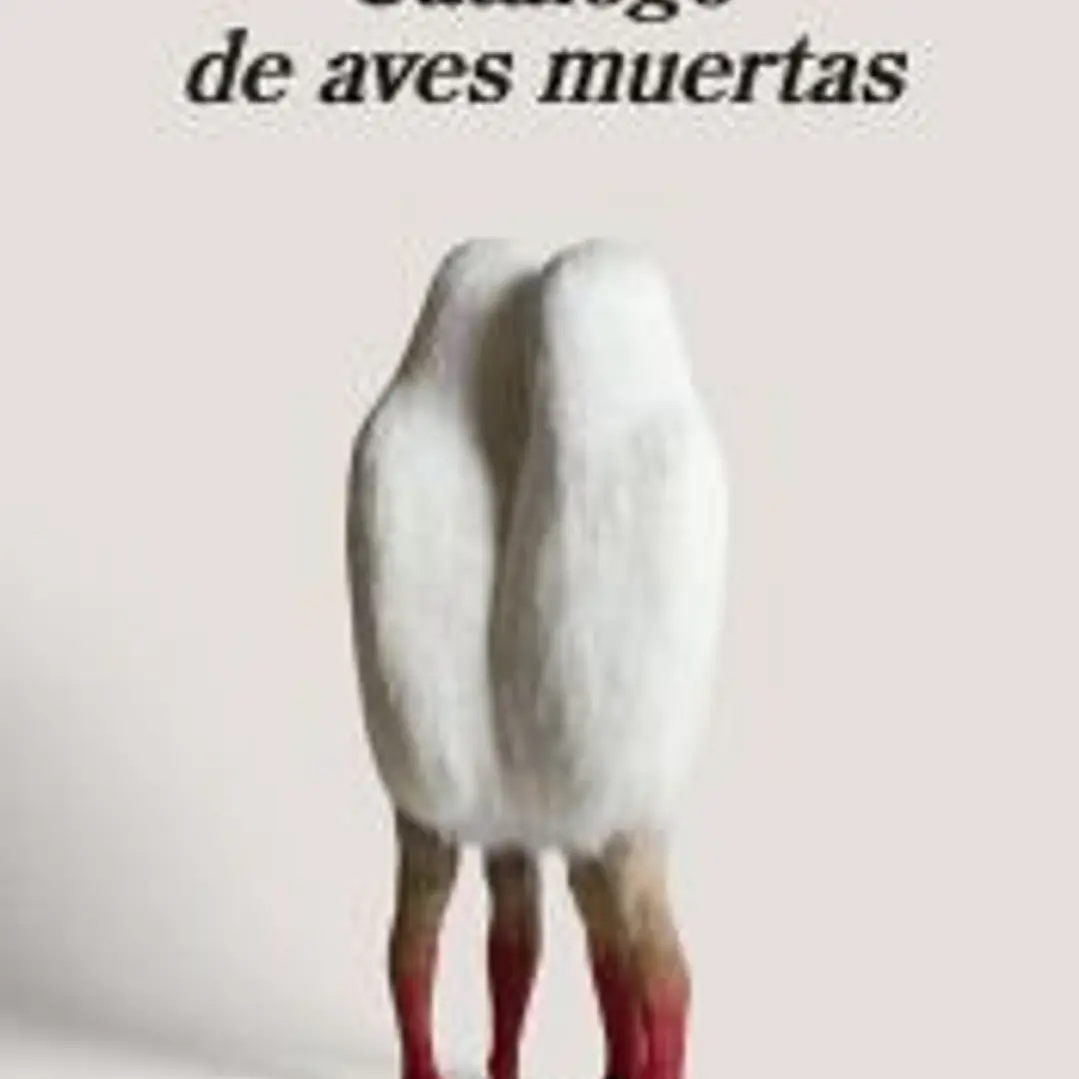 Catálogo de aves muertas 1