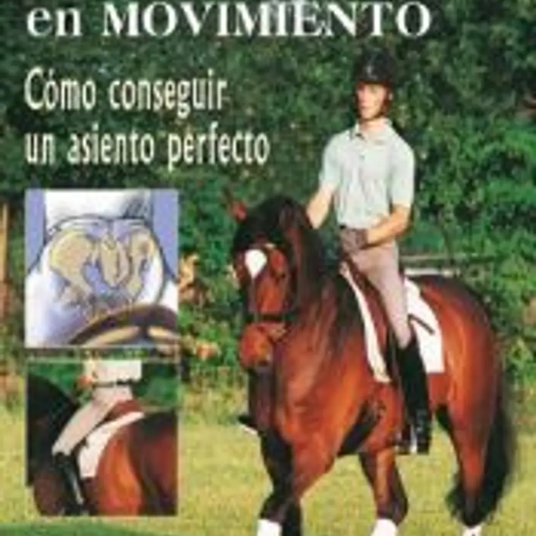 EQUILIBRIO EN MOVIMIENTO: COMO CONSEGUIR UN ASIENTO PERFECTO 1