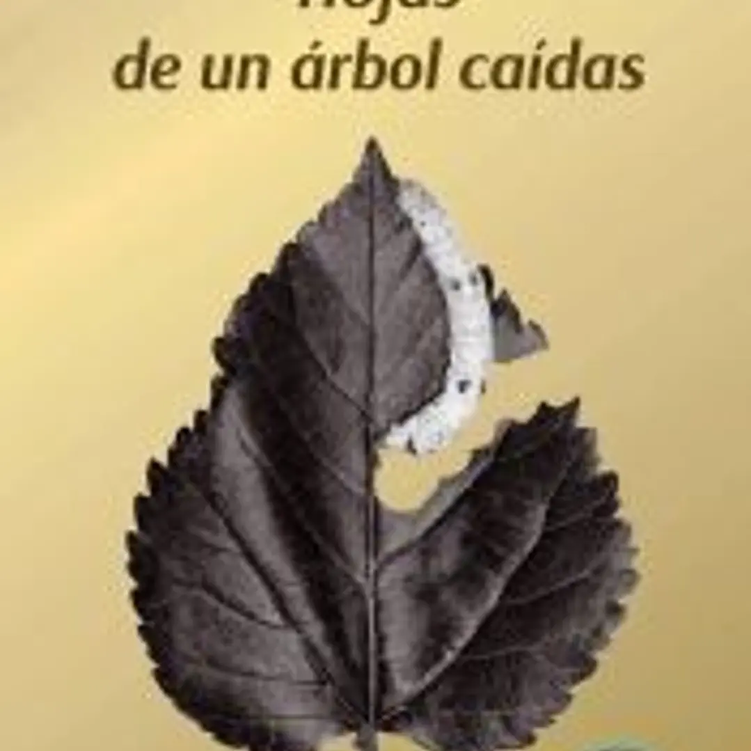 HOJAS DE UN ÁRBOL CAÍDAS 1