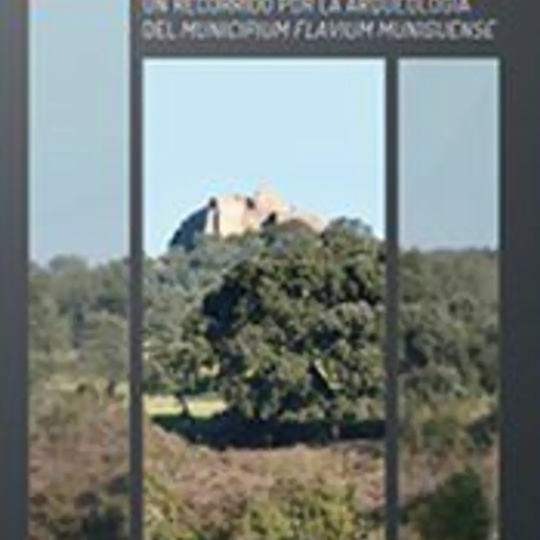 Munigua: Un recorrido por la arqueología del Municipium Flavium Muniguense 1