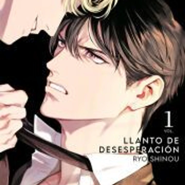 Llanto De Desesperacion 01 1