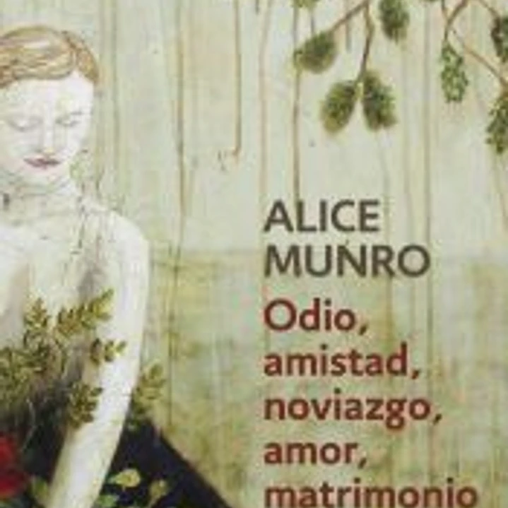 Odio, amistad, noviazgo, amor, matrimonio 1