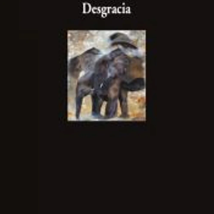 Desgracia 1