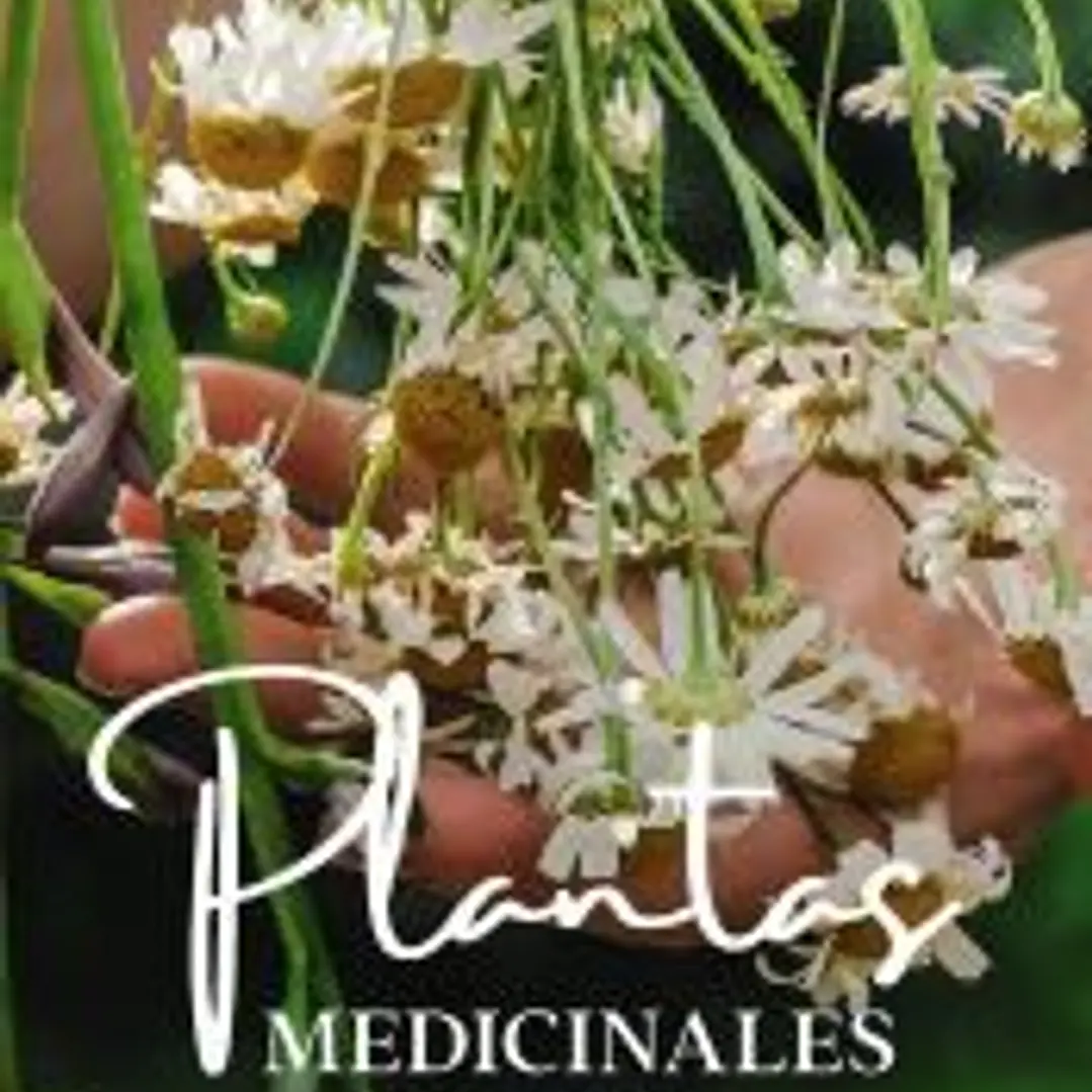 Plantas medicinales. Guía de bolsillo 1