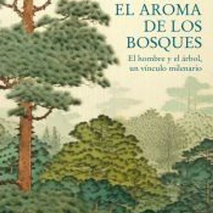 El aroma de los bosques 1