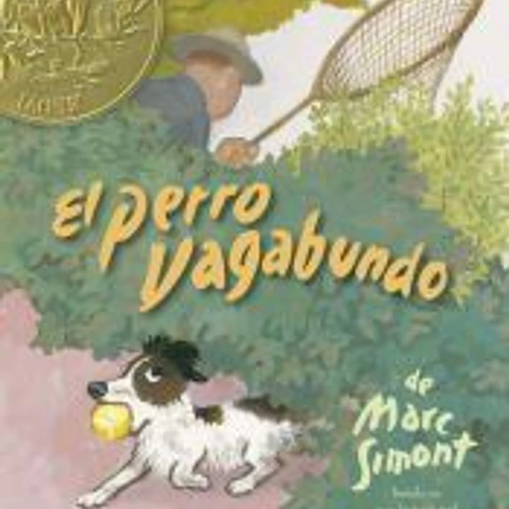 EL PERRO VAGABUNDO 1