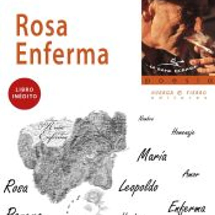 Rosa enferma 1