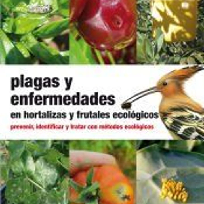 Plagas y enfermedades en hortalizas y frutales ecológicos : prevenir, identificar y tratar con métodos ecológicos 1