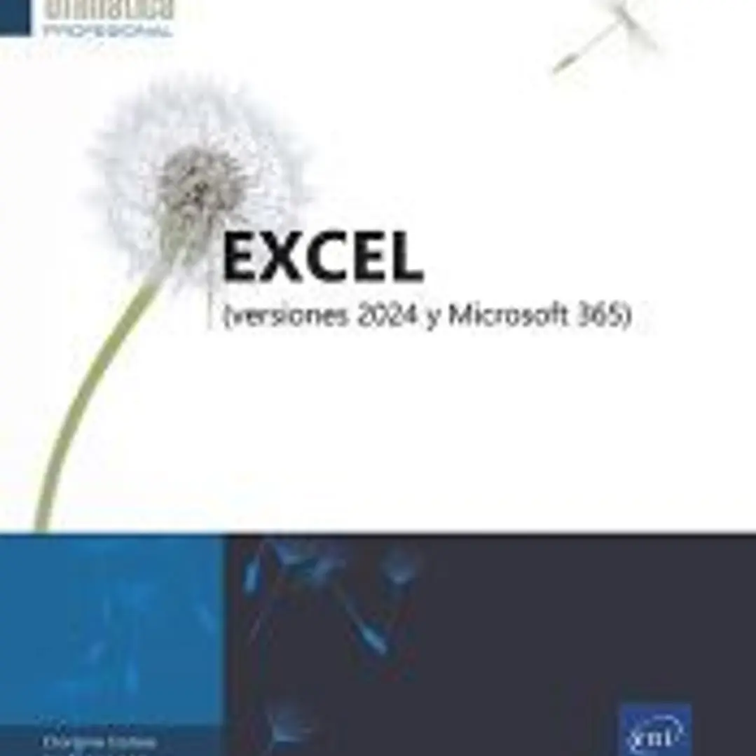 Excel 2024: (versiones 2024 y Microsoft 365) 1