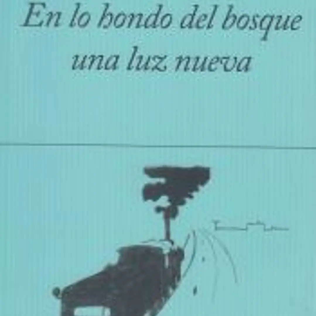 EN LO HONDO DEL BOSQUE UNA LUZ NUEVA 1