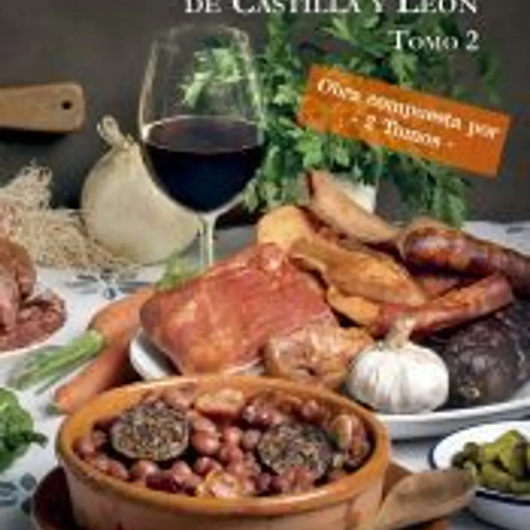 Tratado de Gastronomía de Castilla y León (2 tomos) 1