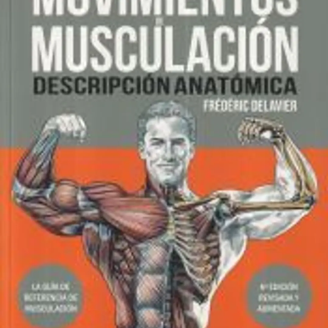 Guía de los movimientos de muscuación. Descripción anatómica 1