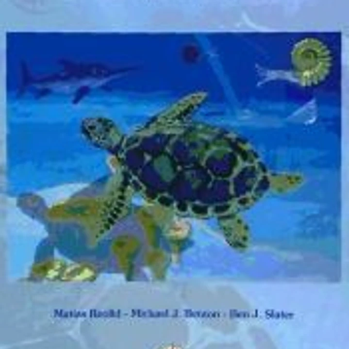 Hispaniachelys prebetica: una tortuga de hace más de 155 millones de años 1