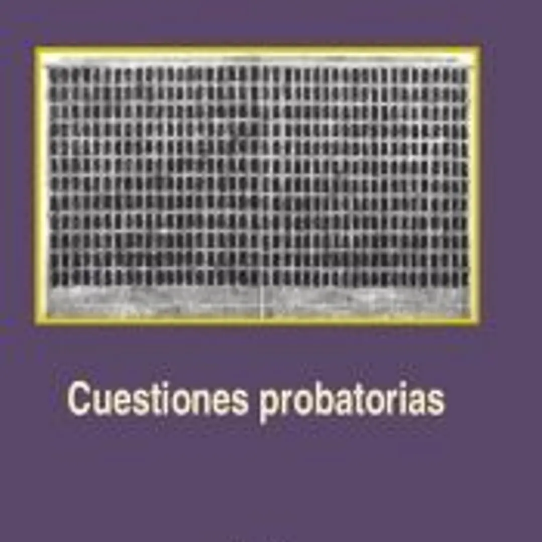 Cuestiones probatorias 1
