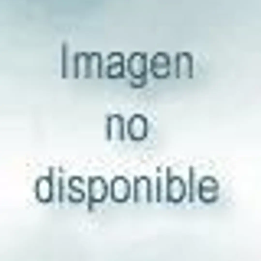 Luz Lumen. Regina Silveira ( edición bilingue: castellano e inglés) 1