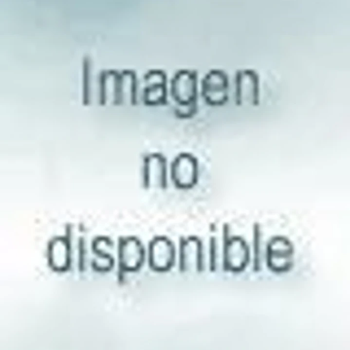 Luz Lumen. Regina Silveira ( edición bilingue: castellano e inglés) 1