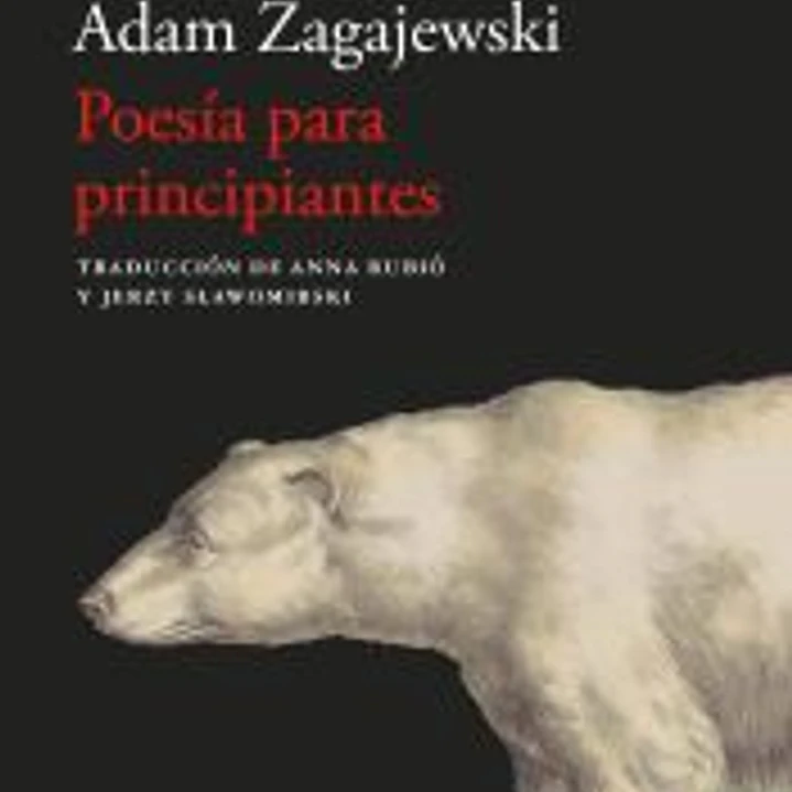 Poesía para principiantes 1