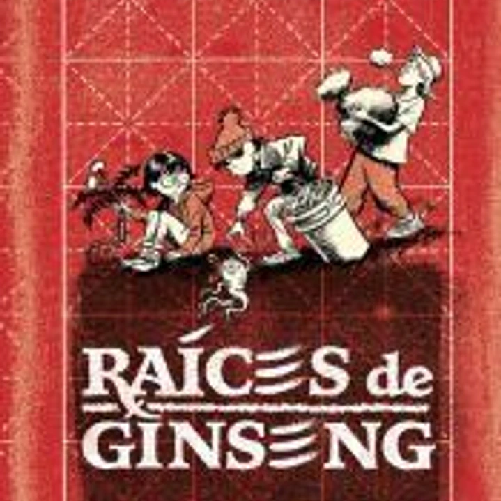 Raíces de ginseng 1