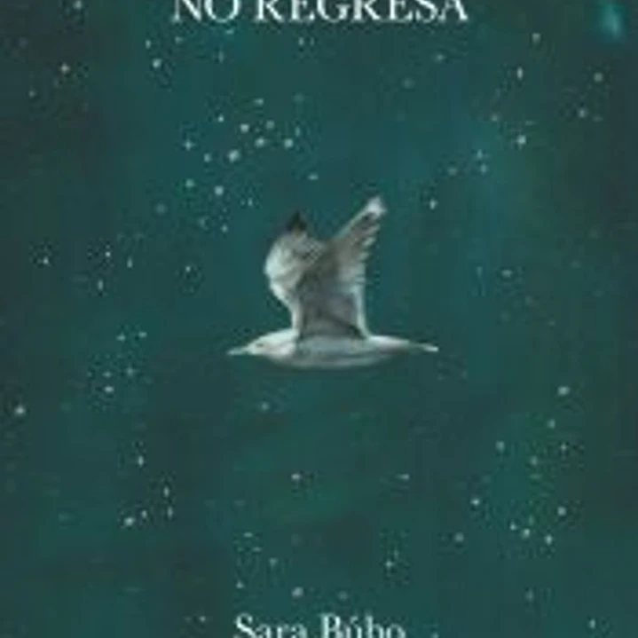 Si el mar no regresa 1
