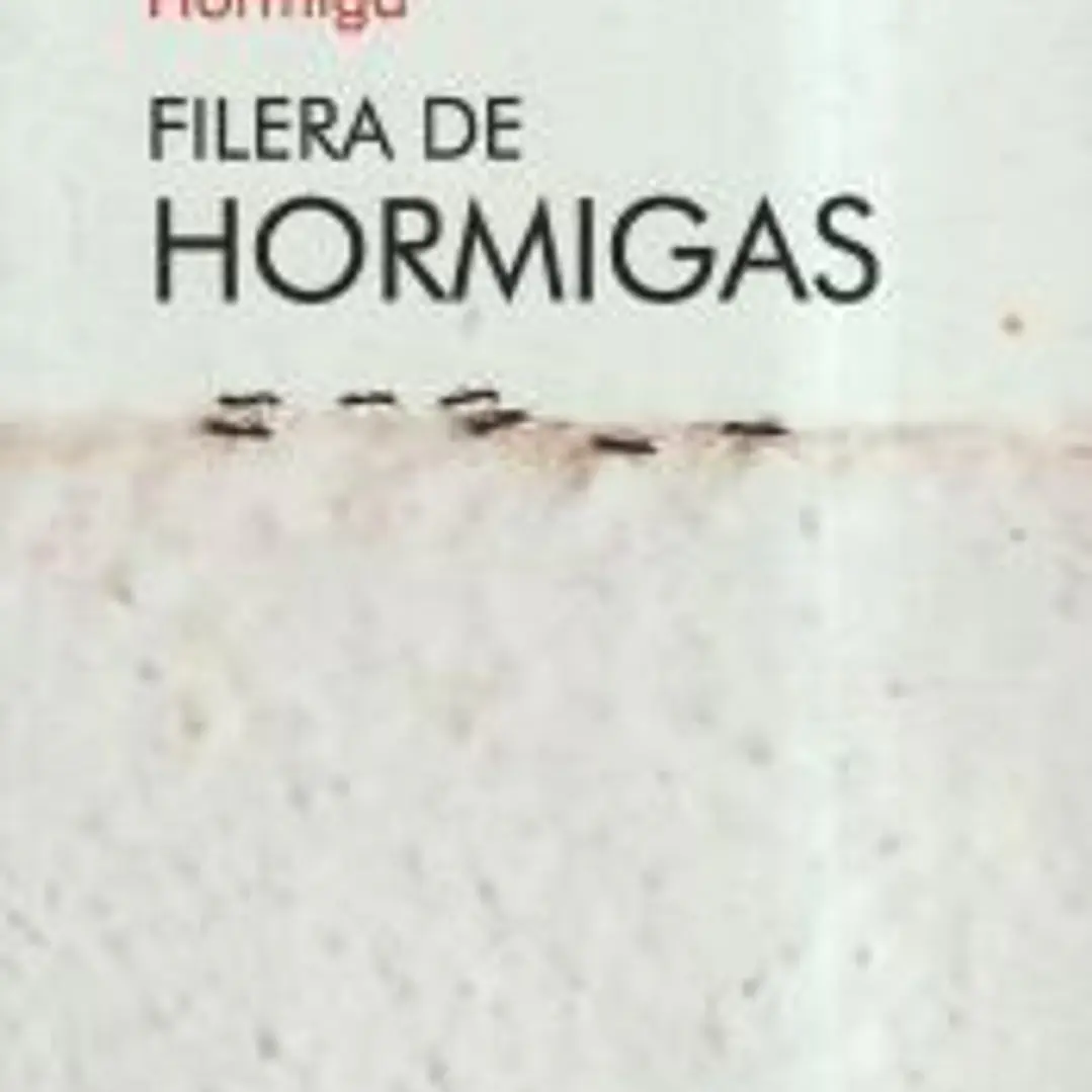 FILERA DE HORMIGAS 1