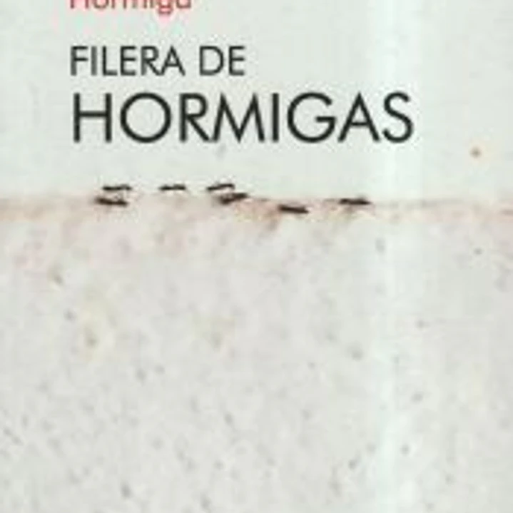 FILERA DE HORMIGAS 1