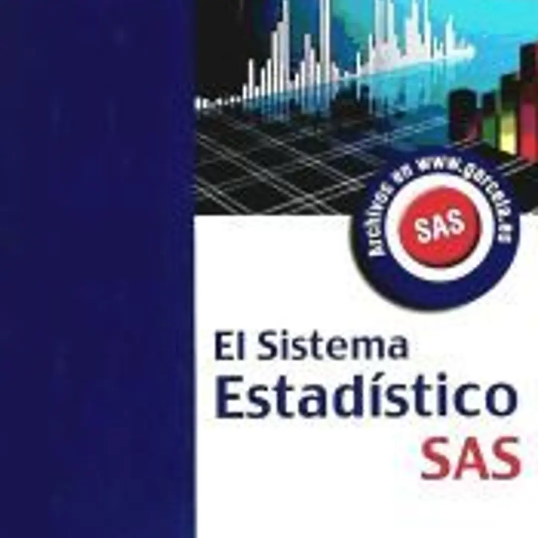 EL SISTEMA ESTADISTICO SAS 1
