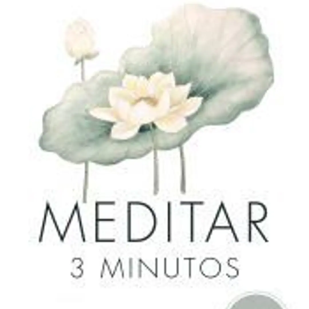 Meditar 3 minutos 1