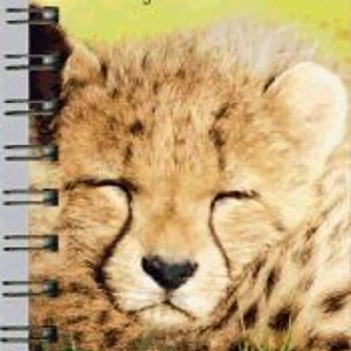 Agenda 2013. Baby Animals (Por Semanas) 1