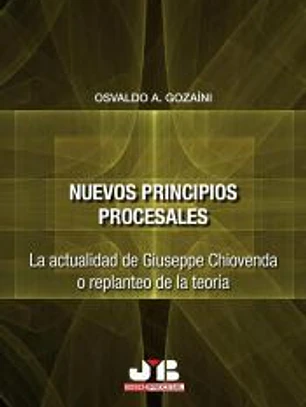 Nuevos principios procesales